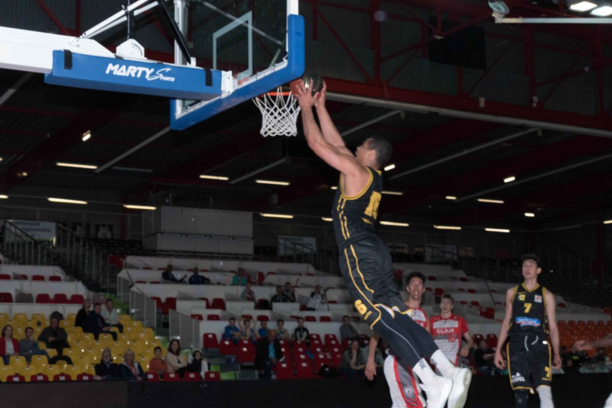 Éditions 2017 - JF Cholet Mondial Basket