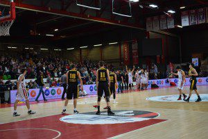 Photos Dimanche 2019 - JF Cholet Mondial Basket